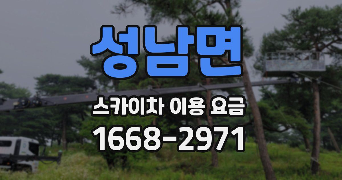 성남면 스카이차 이용 요금