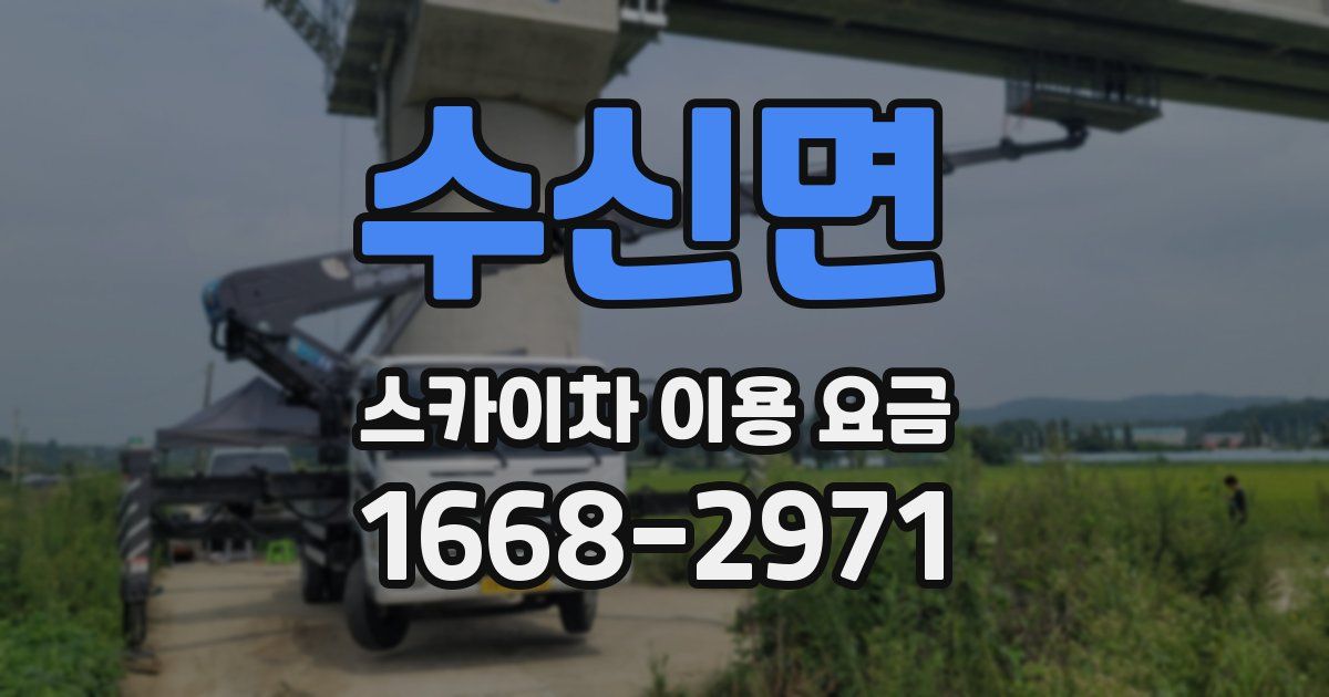 수신면 스카이차 이용 요금