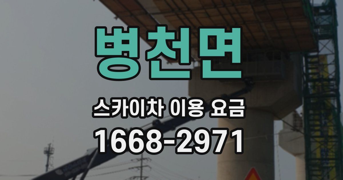 병천면 스카이차 이용 요금
