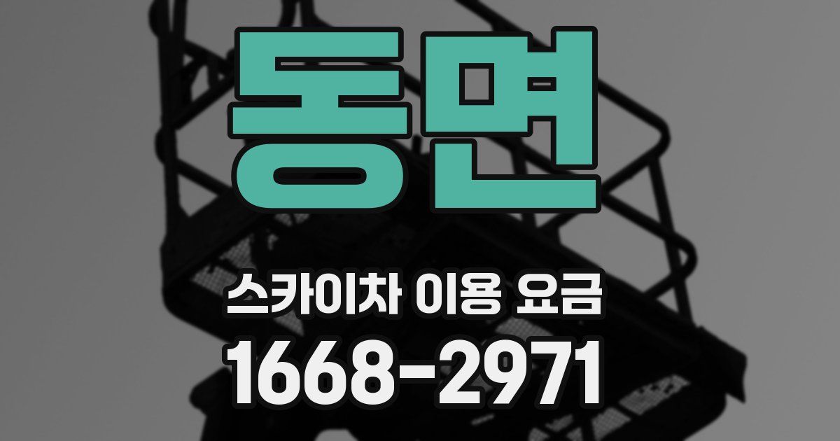 동면 스카이차 이용 요금