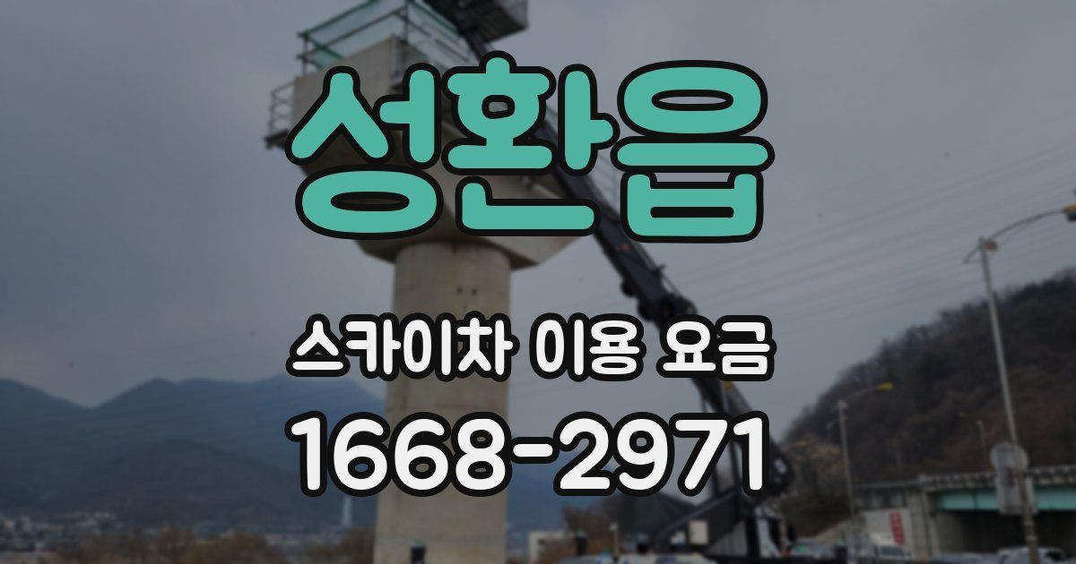 성환읍 스카이차 이용 요금