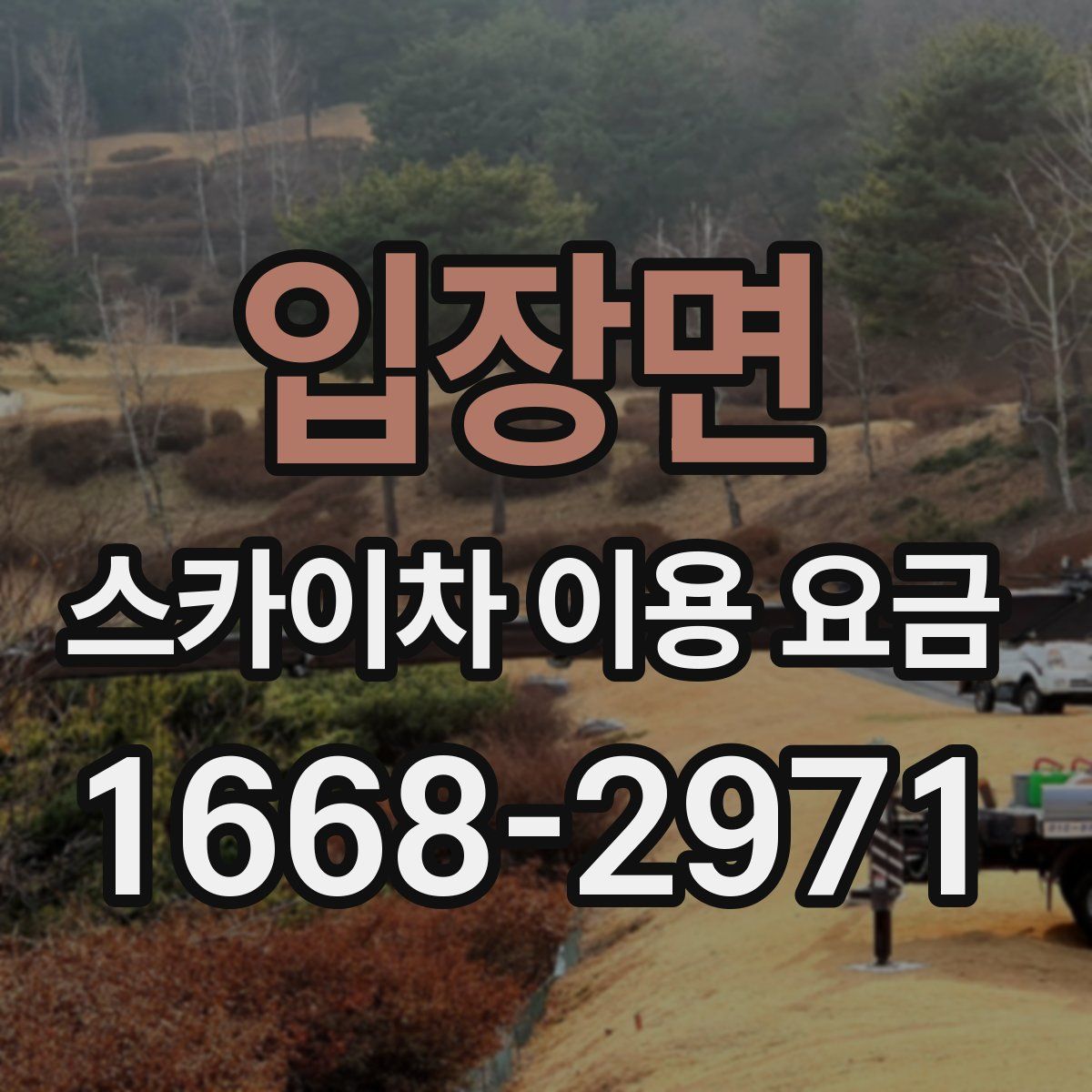 입장면 스카이차 이용 요금