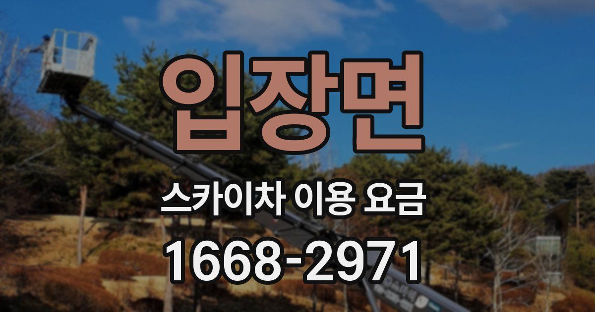 입장면 스카이차 이용 요금