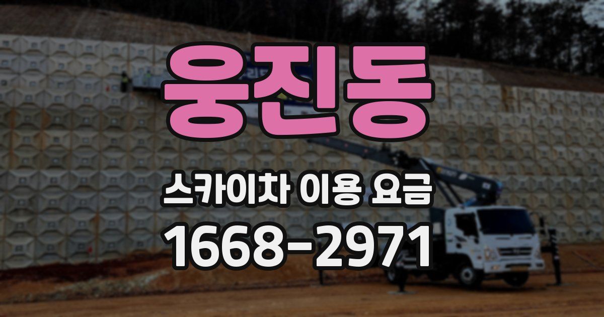 웅진동 스카이차 이용 요금