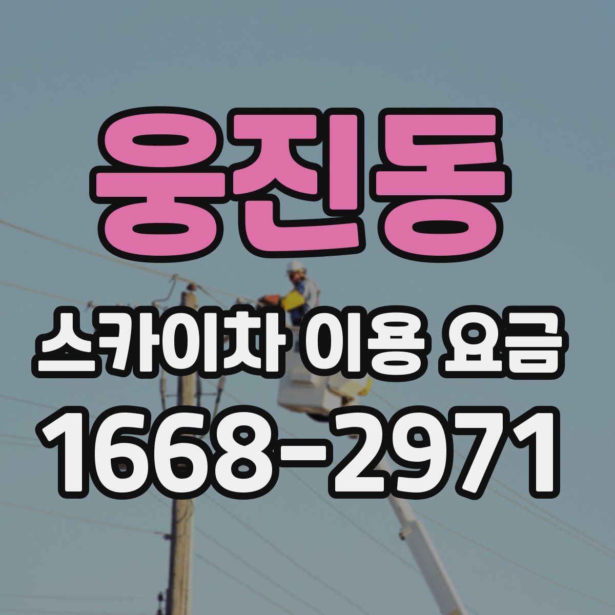 웅진동 스카이차 이용 요금