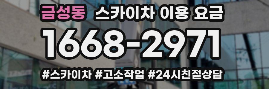 금성동 스카이차 이용 요금