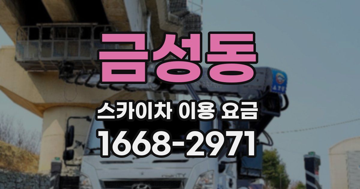 금성동 스카이차 이용 요금