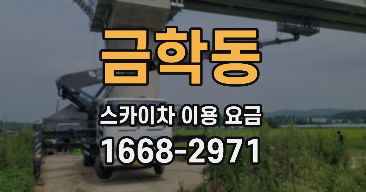 금학동 스카이차 이용 요금