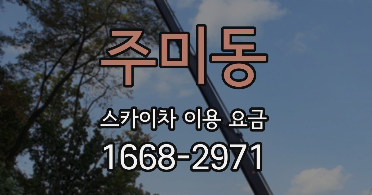 주미동 스카이차 이용 요금