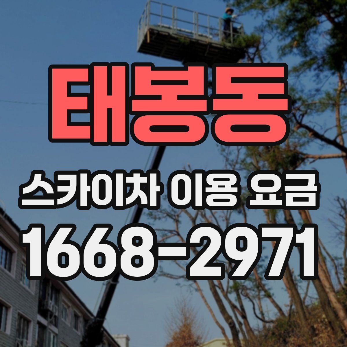 태봉동 스카이차 이용 요금