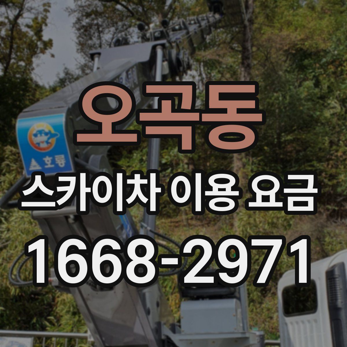 오곡동 스카이차 이용 요금