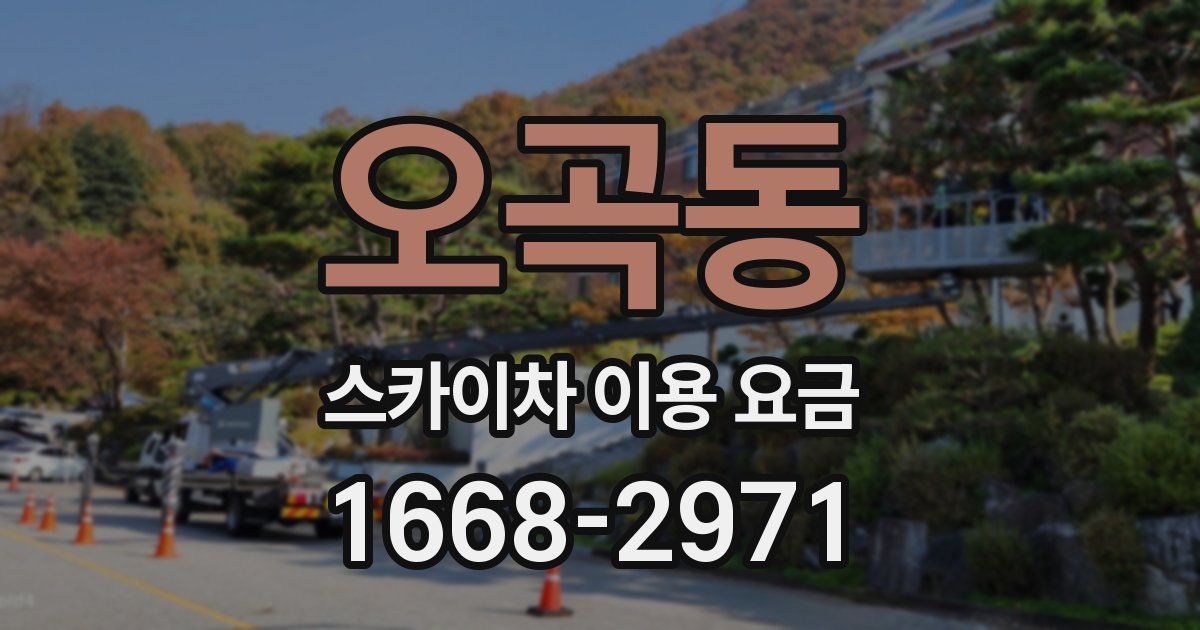 오곡동 스카이차 이용 요금