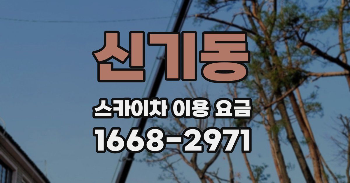 신기동 스카이차 이용 요금