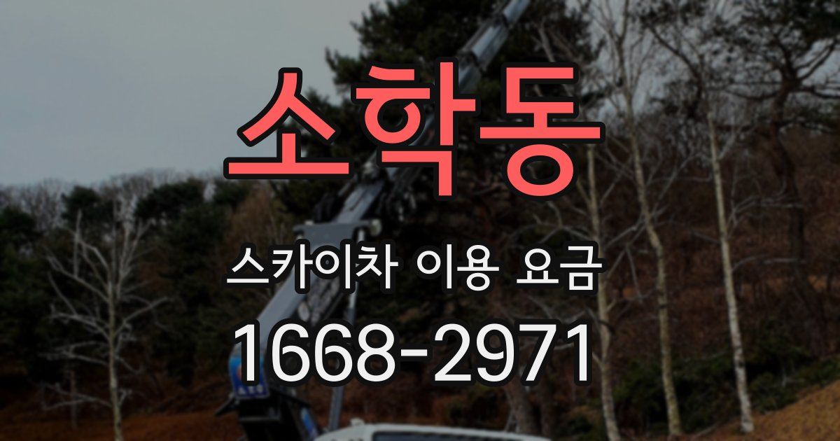 소학동 스카이차 이용 요금