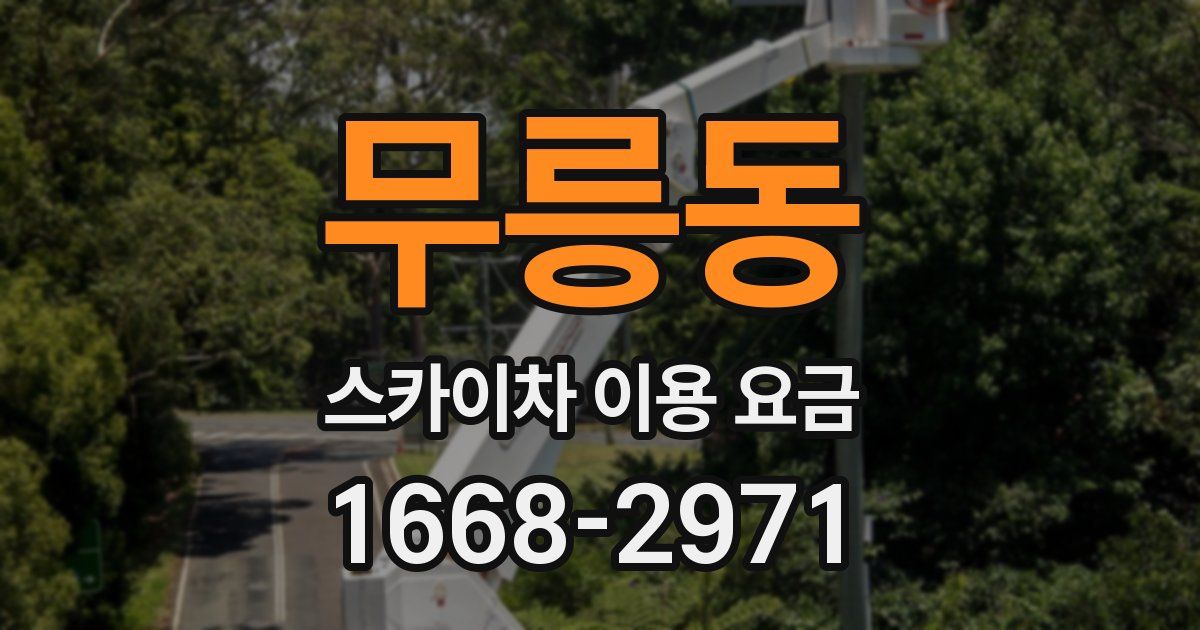 무릉동 스카이차 이용 요금