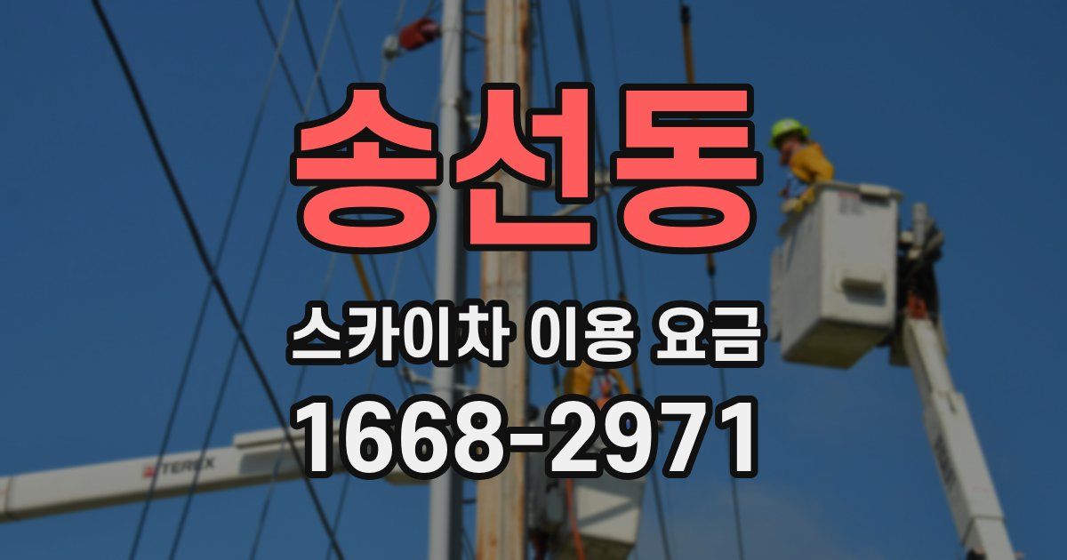 송선동 스카이차 이용 요금