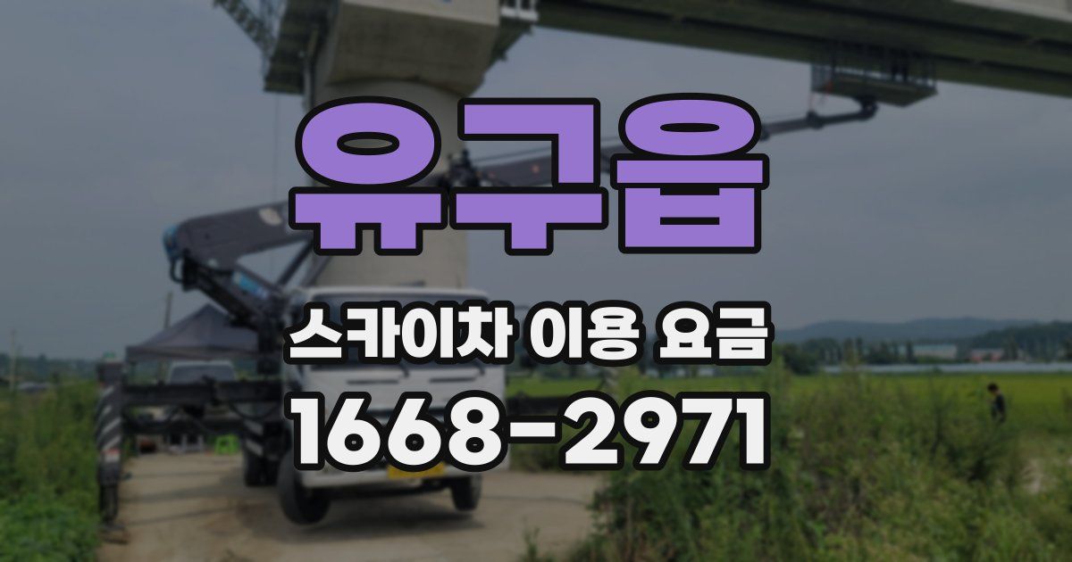 유구읍 스카이차 이용 요금