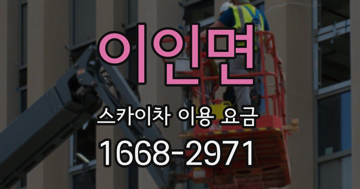 이인면 스카이차 이용 요금