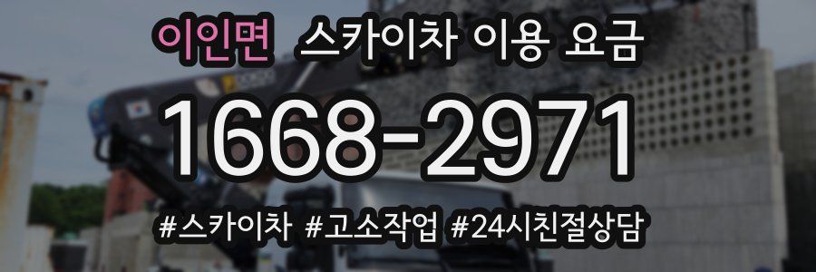 이인면 스카이차 이용 요금