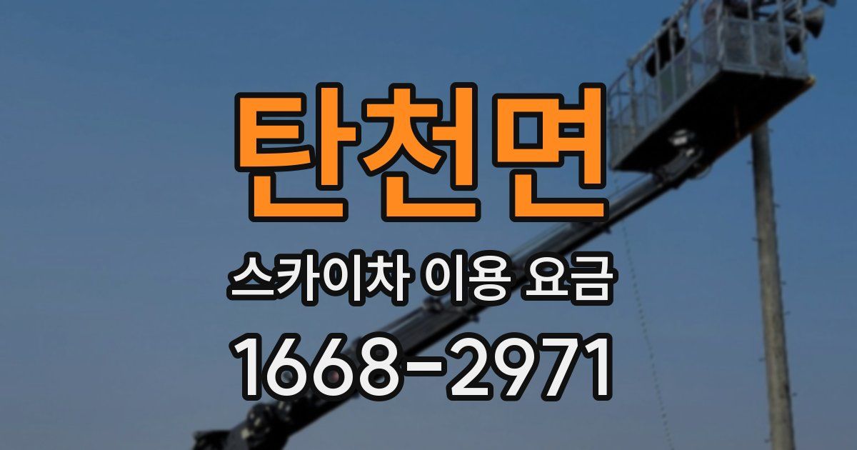 탄천면 스카이차 이용 요금