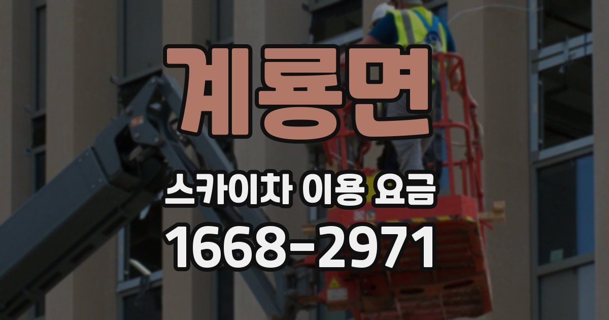 계룡면 스카이차 이용 요금