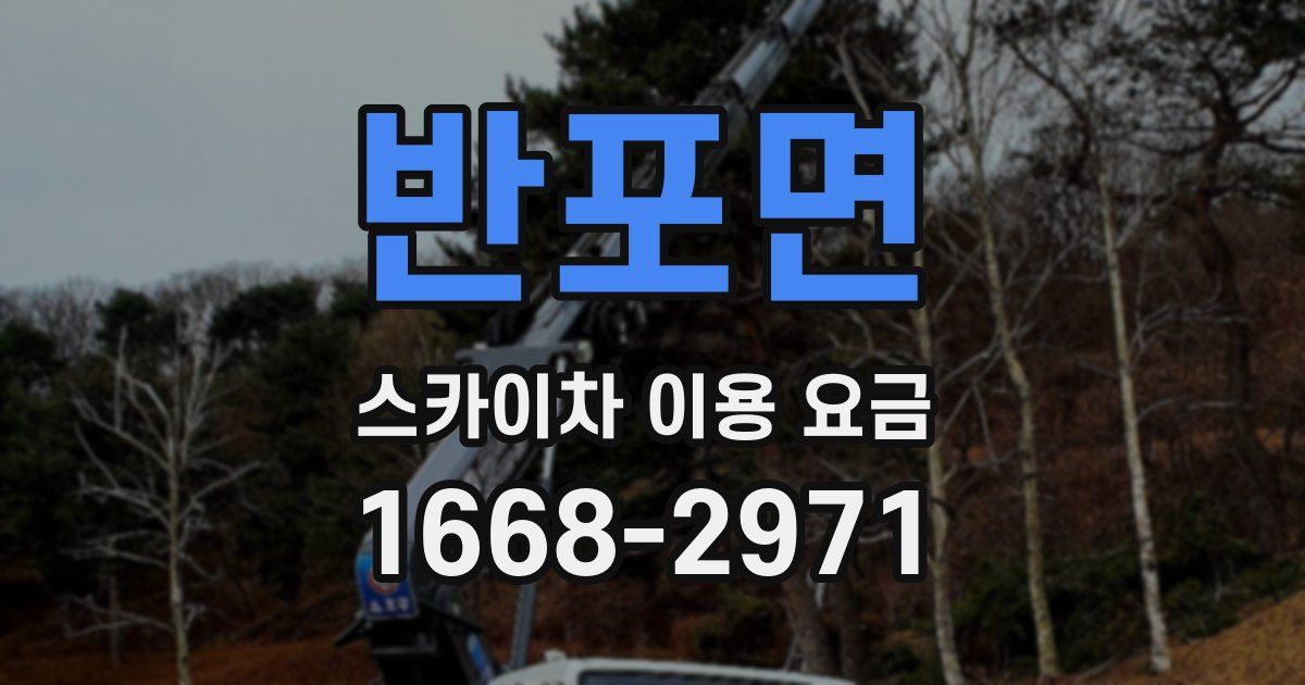 반포면 스카이차 이용 요금
