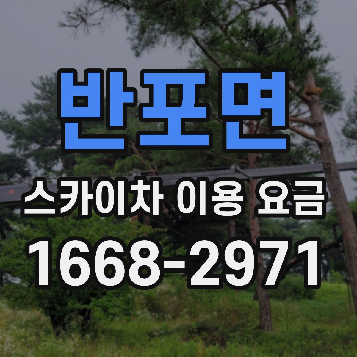 반포면 스카이차 이용 요금
