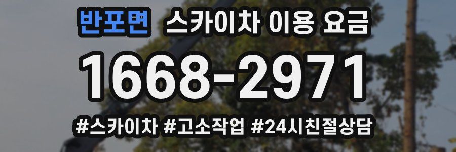 반포면 스카이차 이용 요금