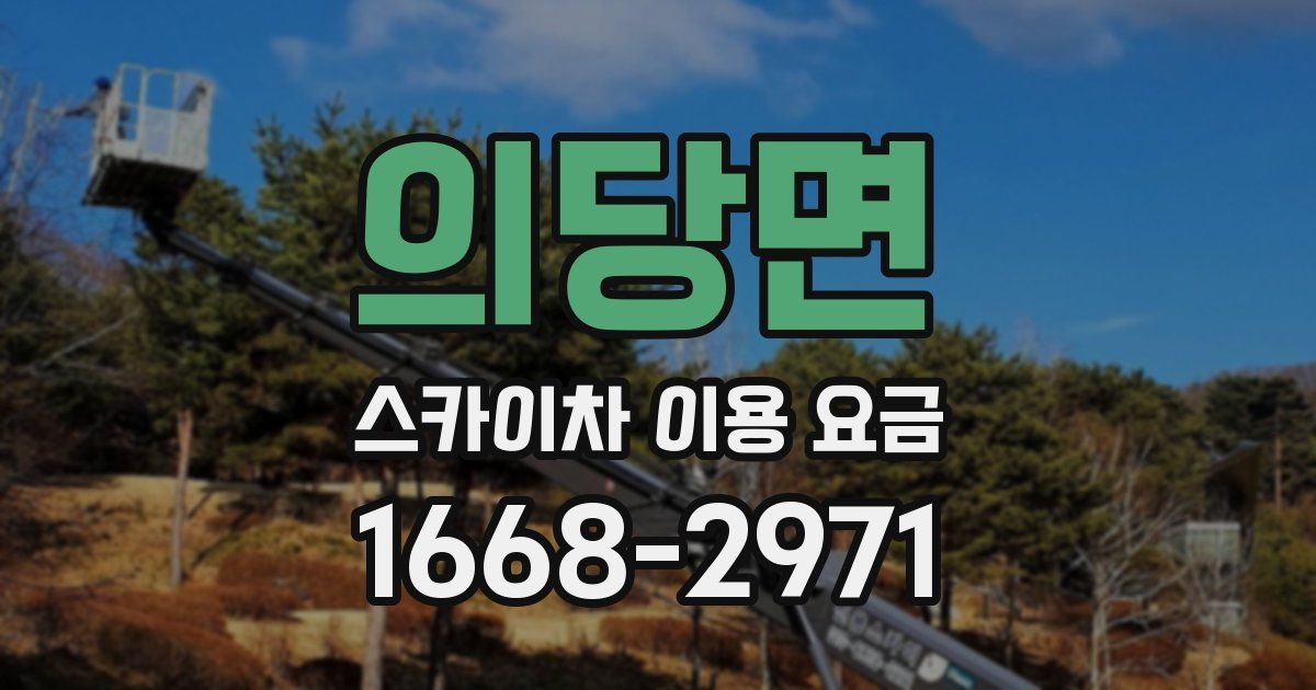 의당면 스카이차 이용 요금