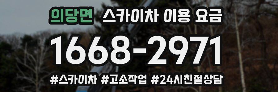 의당면 스카이차 이용 요금