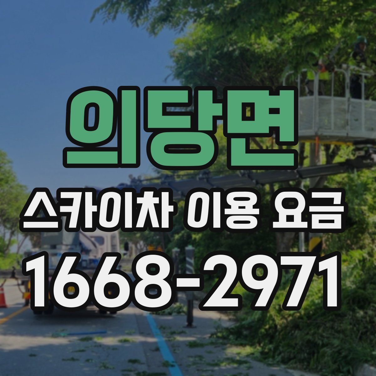 의당면 스카이차 이용 요금
