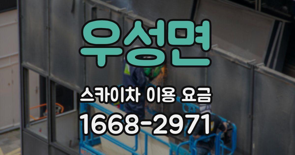 우성면 스카이차 이용 요금