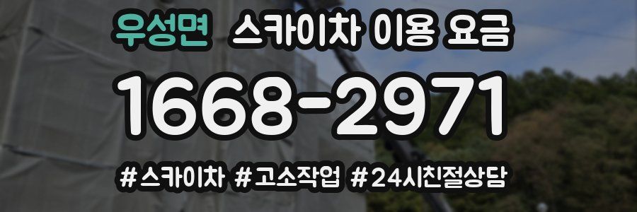 우성면 스카이차 이용 요금