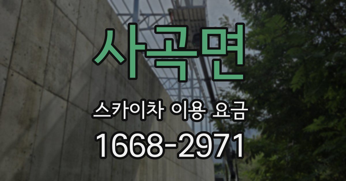 사곡면 스카이차 이용 요금