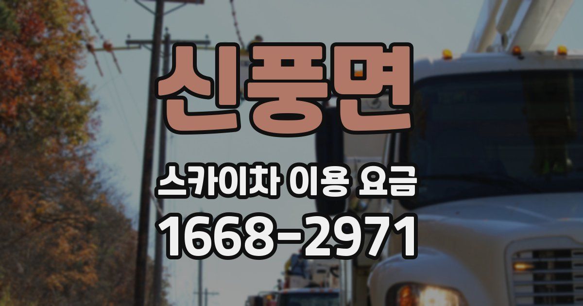 신풍면 스카이차 이용 요금