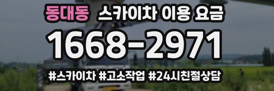 동대동 스카이차 이용 요금