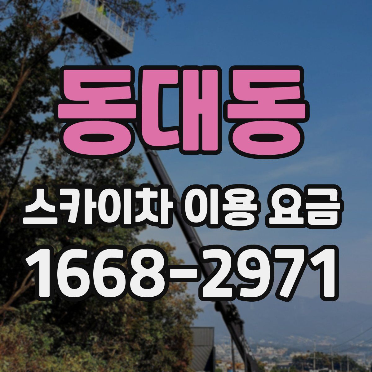 동대동 스카이차 이용 요금
