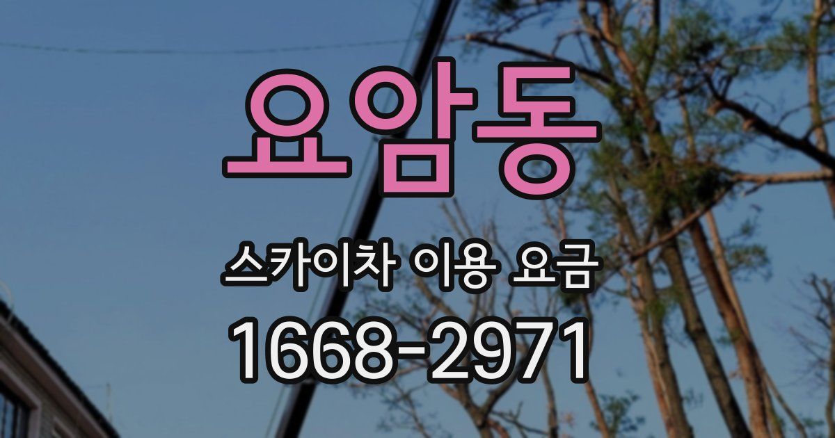 요암동 스카이차 이용 요금