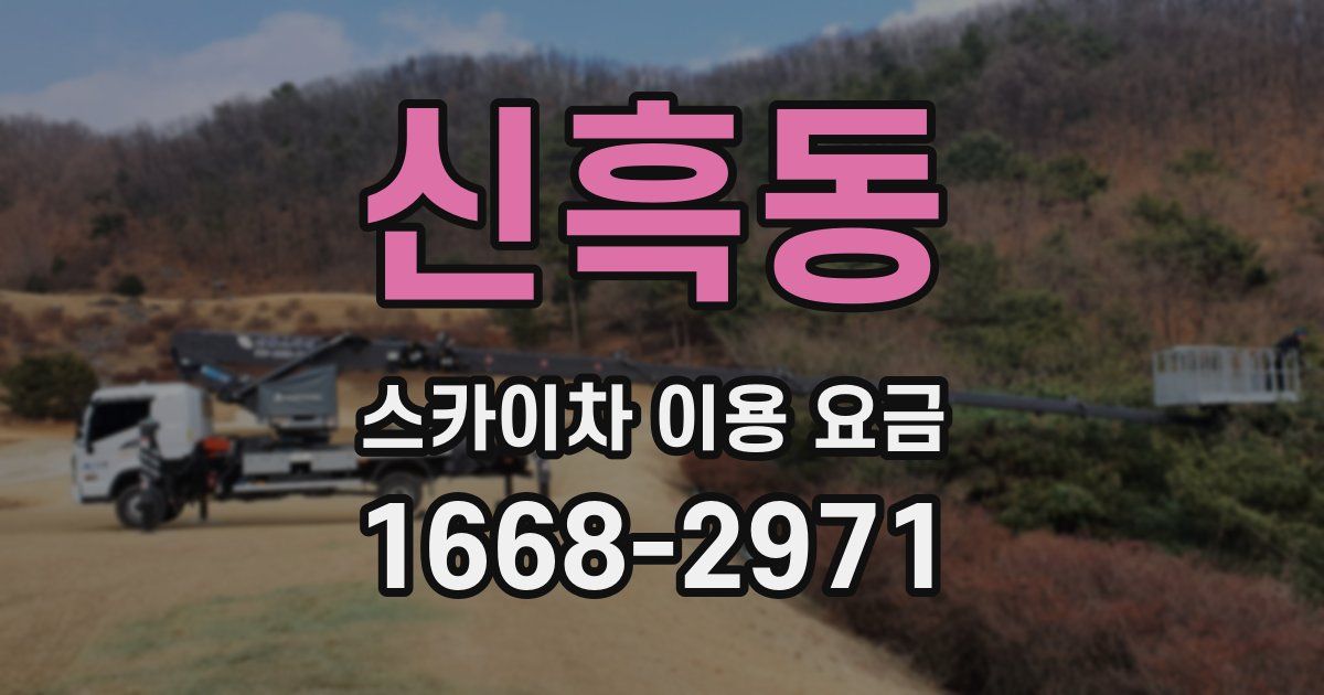신흑동 스카이차 이용 요금