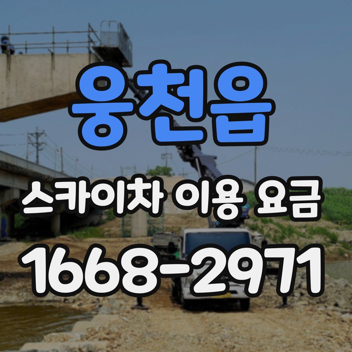 웅천읍 스카이차 이용 요금