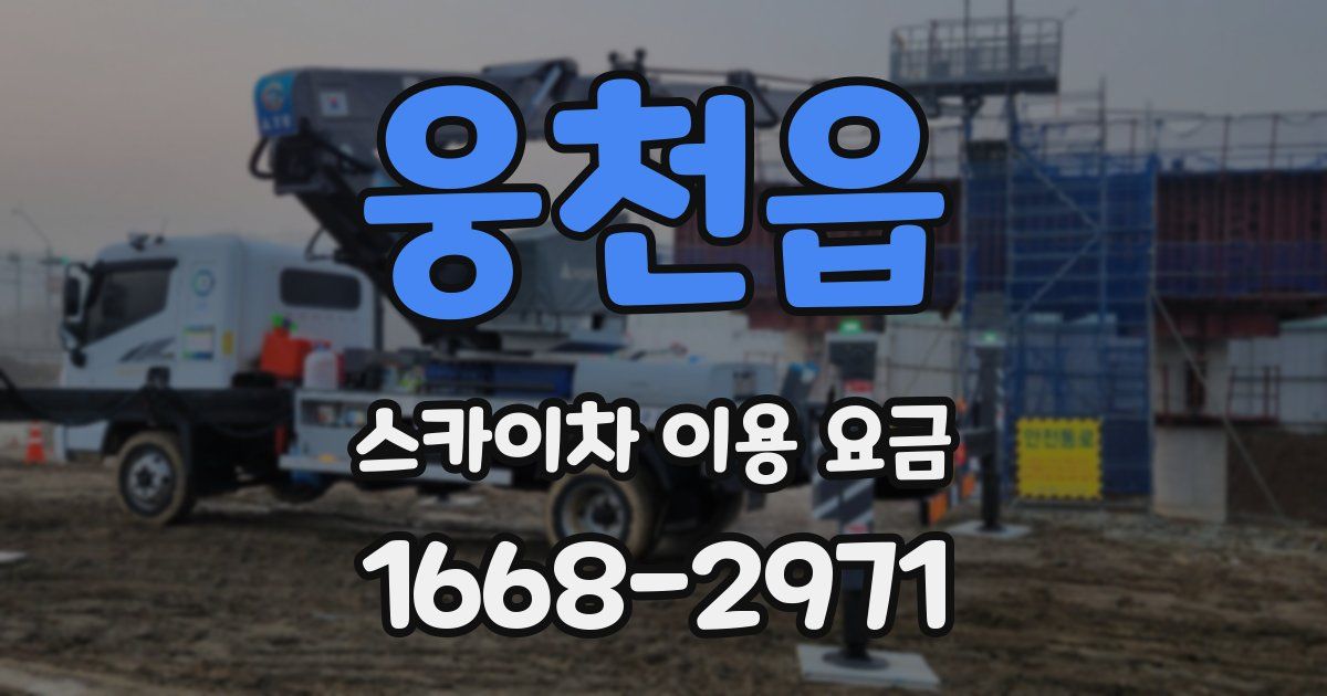 웅천읍 스카이차 이용 요금