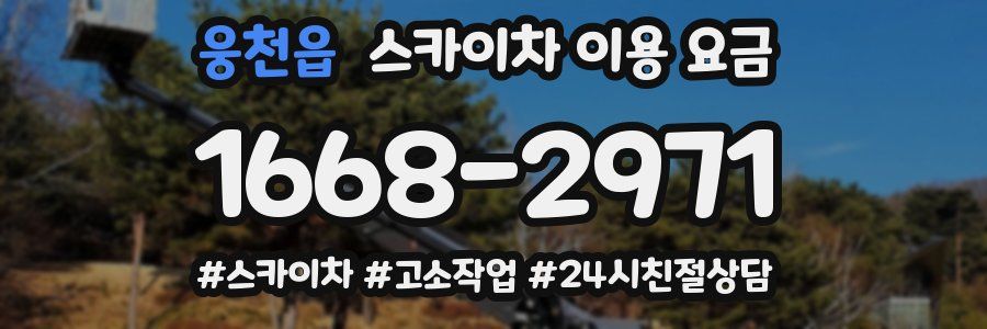 웅천읍 스카이차 이용 요금