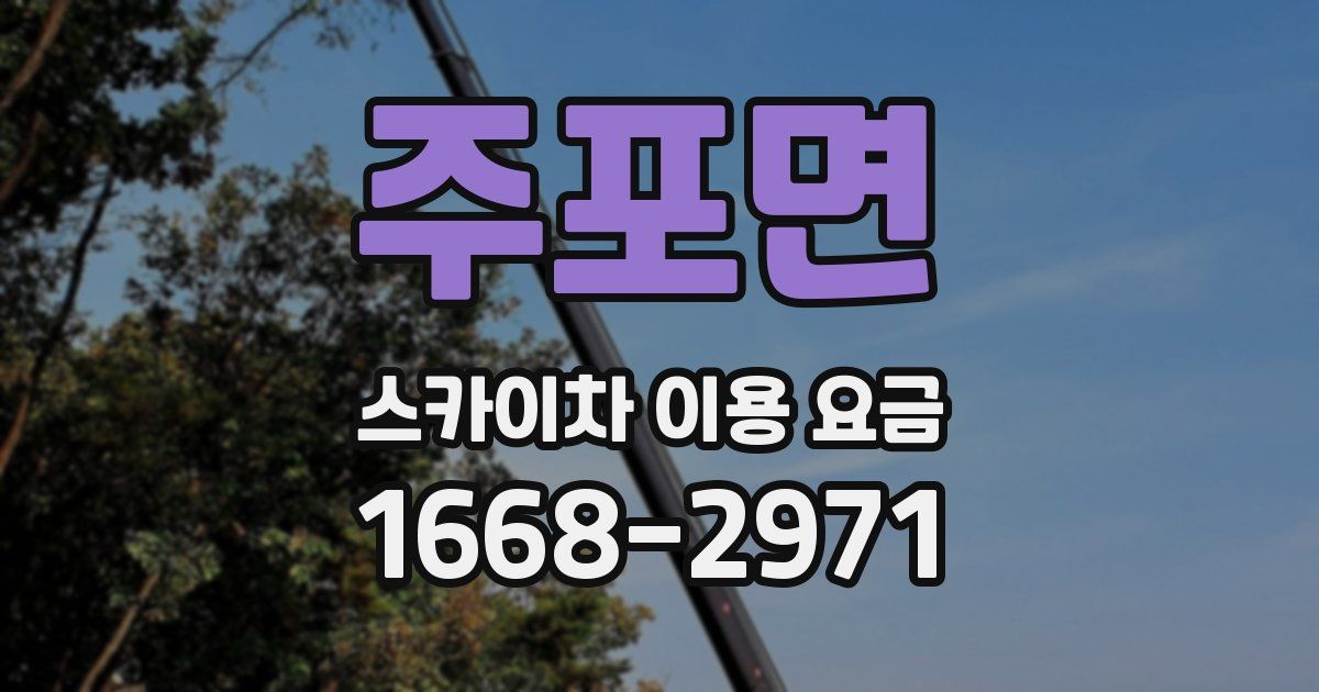 주포면 스카이차 이용 요금
