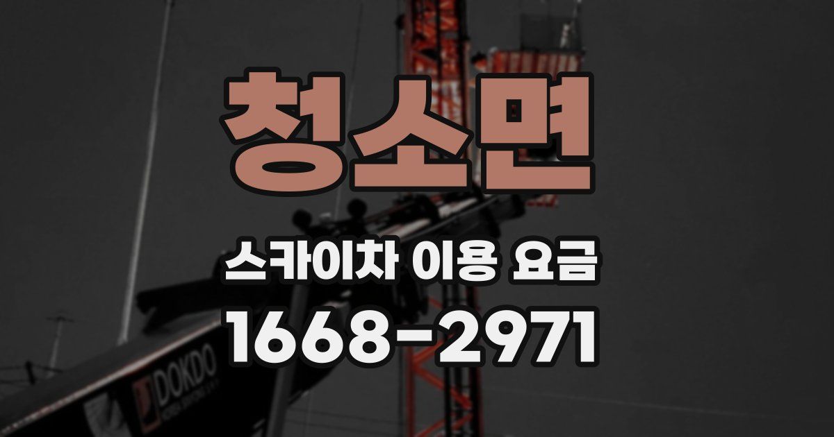 청소면 스카이차 이용 요금