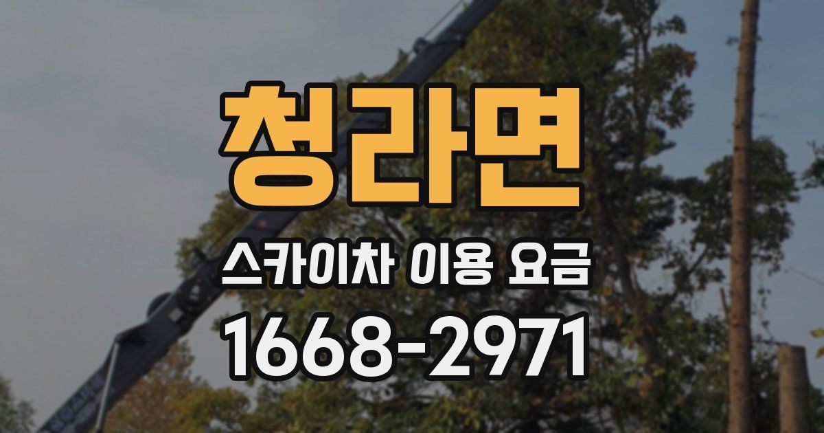청라면 스카이차 이용 요금