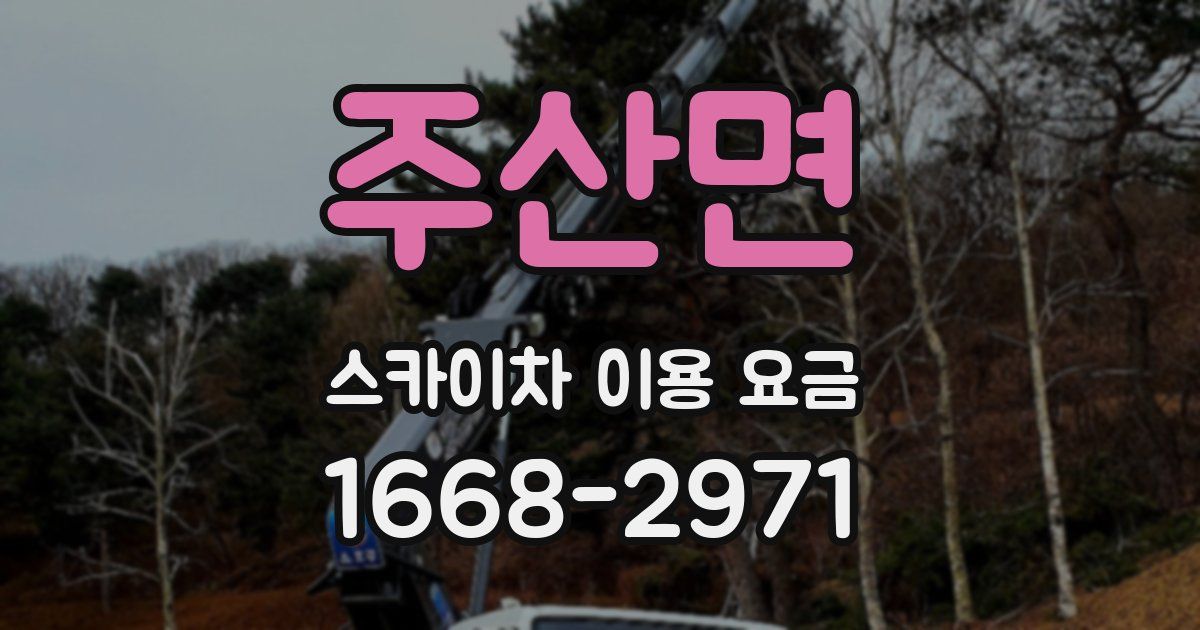 주산면 스카이차 이용 요금