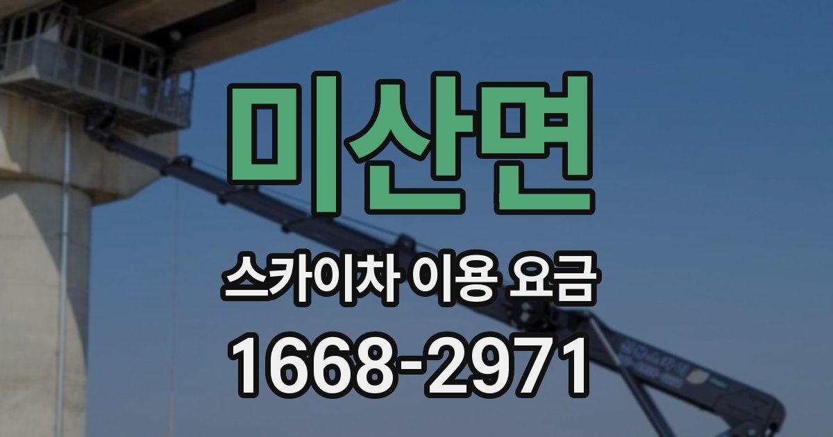 미산면 스카이차 이용 요금