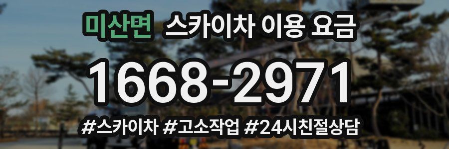미산면 스카이차 이용 요금