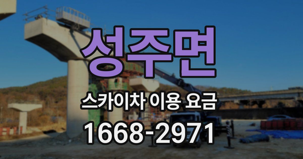 성주면 스카이차 이용 요금