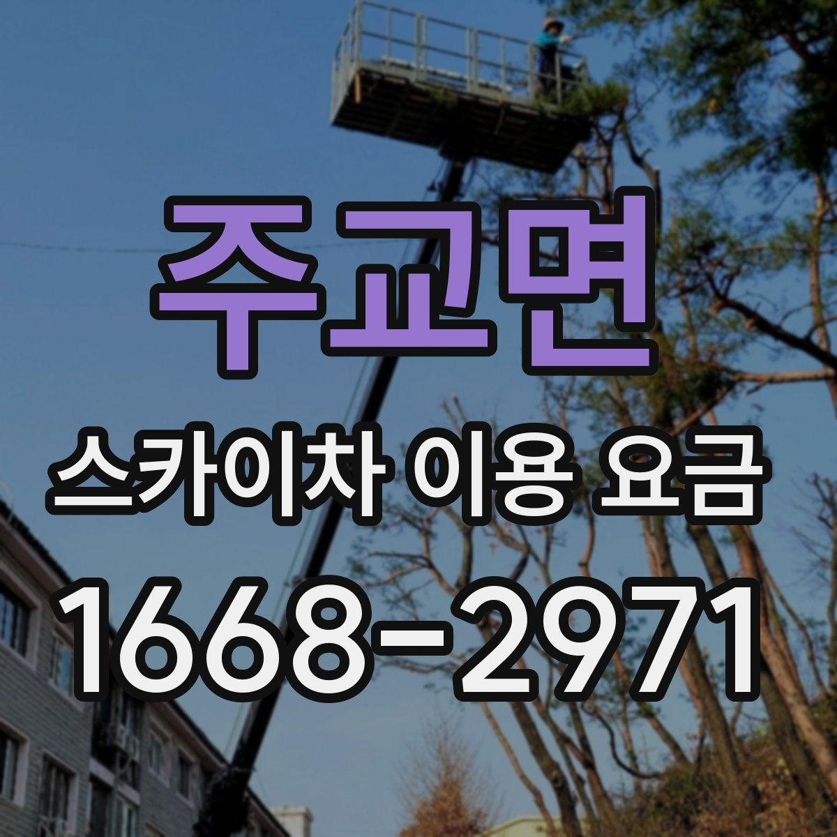 주교면 스카이차 이용 요금